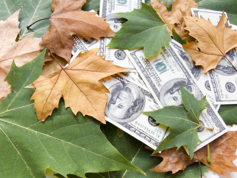 Fall Into Cash: Work and Win